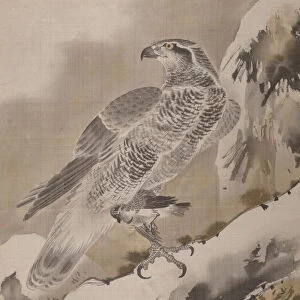 Eagle Holding Small Bird, ca. 1887. Creator: Kawanabe Kyosai