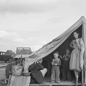 This family came to the potato harvest after the... FSA camp, Merrill, Klamath County, Oregon, 1939 Creator: Dorothea Lange