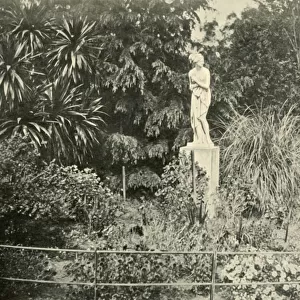 In the Fitzroy Gardens, Melbourne, 1901. Creator: Unknown