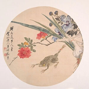 Flower and Toad. Creator: Zhang Xiong
