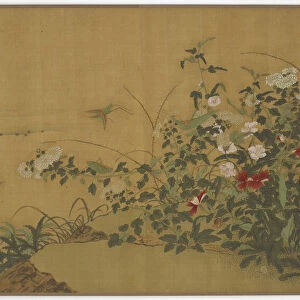 Flowers, Plants, and Insects, Ming dynasty, 16th century. Creator: Unknown