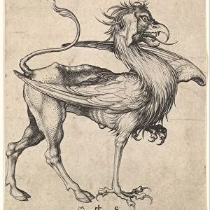 Griffin, ca. 1435-1491. Creator: Martin Schongauer