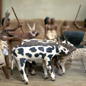 Herding cattle; Ancient Egyptian tomb model