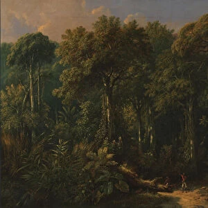 Javanese Jungle, ca. 1860. Creator: Raden Saleh