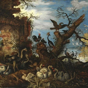 Lanscape with Birds, 1622