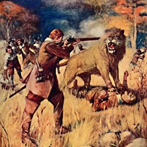 A Large Lion sprung upon one of the Men, 1909. Artist: Joseph Ratcliffe Skelton