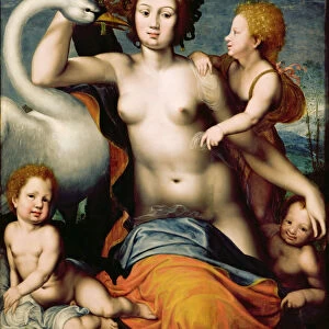 Leda and the Swan, Mid of 16th century