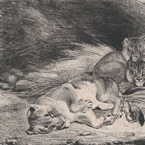 Lioness and Cubs, possibly 1832. Creator: Antoine-Louis Barye