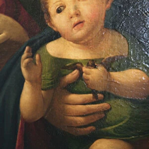 Detail from Madonna and Child with Mary Magdalene, St Catherine, and two Saints, 1504. Artist: Alvise Vivarini