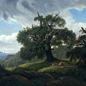 Memory of a Wooded Island in the Baltic Sea (Oak trees by the Sea), 1835. Artist: Carus, Carl Gustav (1789-1869)