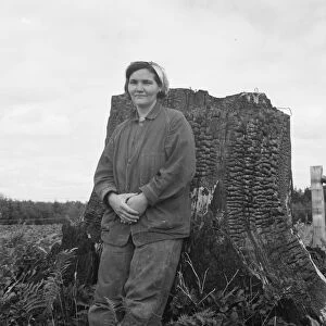 Mrs Arnold, age thirty two, does mans work on the rough... Michigan Hill, Thurston County, 1939. Creator: Dorothea Lange