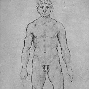 A Nude Man seen from the Front, c1480 (1945). Artist: Leonardo da Vinci