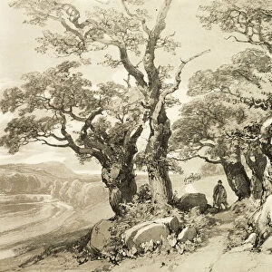 Old Oaks, from The Park and the Forest, 1841. Creator: James Duffield Harding