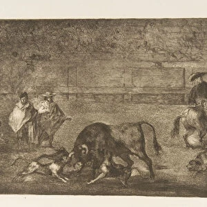 Plate C: The dogs let loose on the bull. ca. 1816. Creator: Francisco Goya