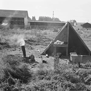 One of the forty potato camps in open field, entering town, Malin, Klamath County, Oregon, 1939. Creator: Dorothea Lange