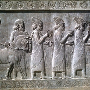 Relief of Syrians or Lydians, the Apadana, Persepolis, Iran