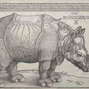 The Rhinoceros, 1515. Creator: Albrecht Dürer (German, 1471-1528)