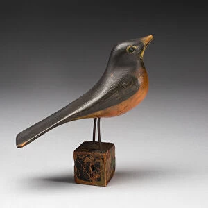 Robin, 1860 / 1900. Creator: Unknown