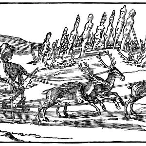 Samoyed travelling on a sleigh pulled by reindeer, late 16th-early 17th century