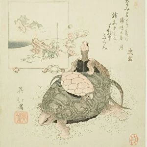 Sea turtles and Urashima Taro, c. 1825. Creator: Totoya Hokkei