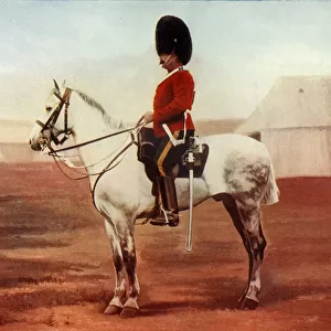 Sergeant-Major of the 2nd Dragoons. (Royal Scots Greys), 1900. Creator: Gregory & Co