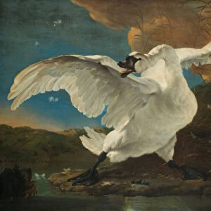 The Threatened Swan, before 1652. Artist: Asselijn, Jan (ca 1610-1652)