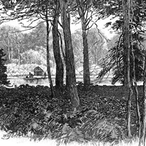 View in Claremont Park, Surrey, 1900