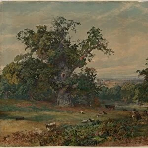 View near Bedford. Creator: Bradford Rudge (British, 1805-1885)