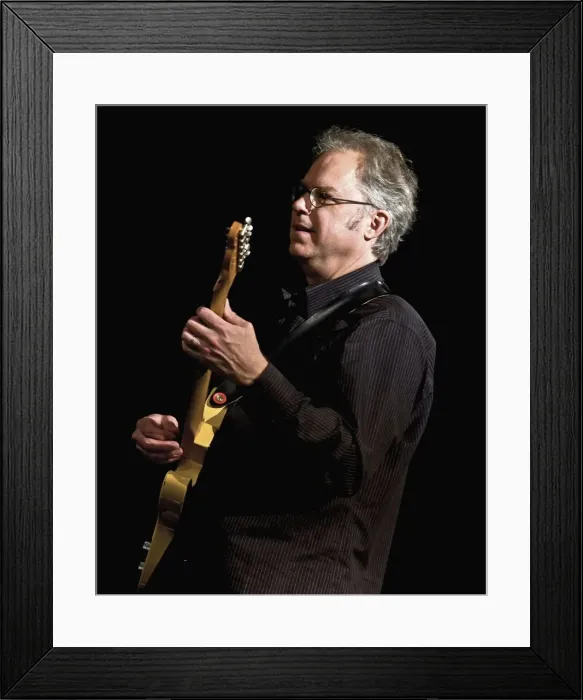 Framed Print : Bill Frisell, 2008. Artist: Alan John Ainsworth Framed Print : Bill Frisell, 2008. Artist: Alan John Ainsworth