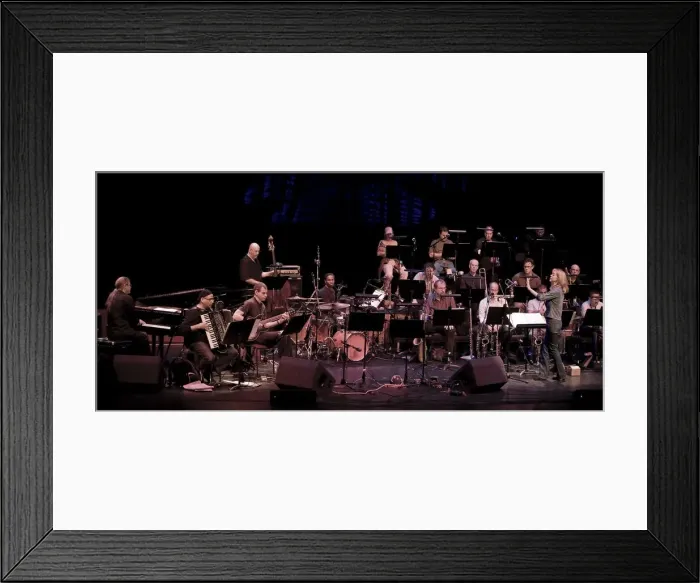 Framed Print : Maria Schneider, 2008. Artist: Alan John Ainsworth Framed Print : Maria Schneider, 2008. Artist: Alan John Ainsworth