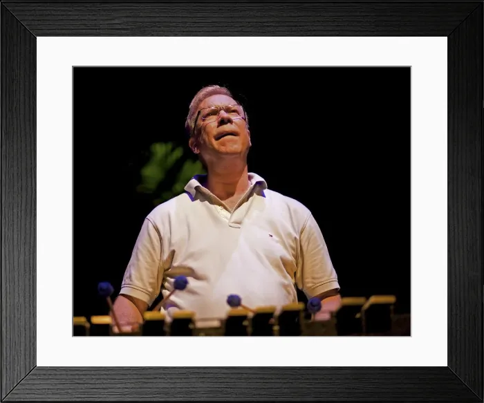 Framed Print : Gary Burton, 2008. Artist: Alan John Ainsworth Framed Print : Gary Burton, 2008. Artist: Alan John Ainsworth