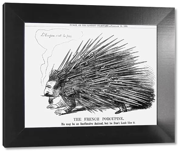 The French Porcupine, 1859