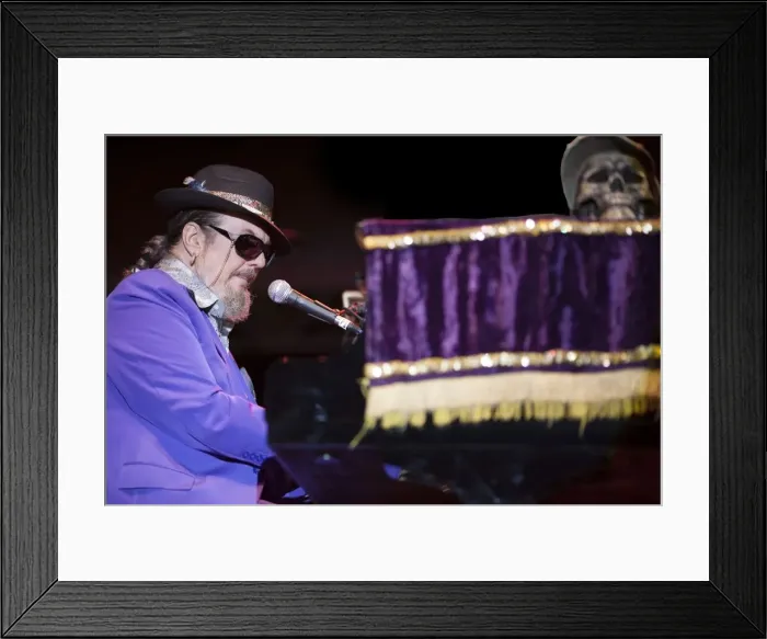Framed Print : Dr John, 2010. Artist: Alan John Ainsworth Framed Print : Dr John, 2010. Artist: Alan John Ainsworth