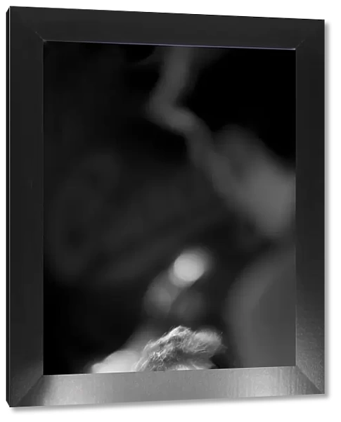 Kit Downes, 2011. Artist: Alan John Ainsworth