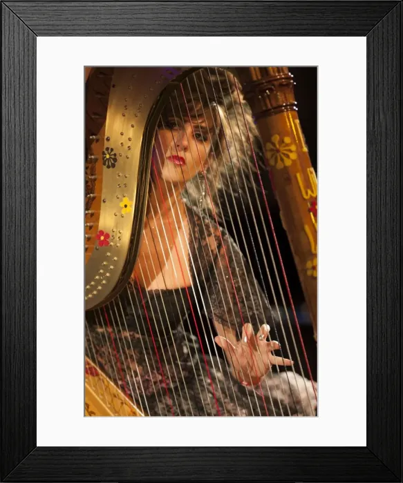 Framed Print : Lucinda Bell, 2011. Artist: Alan John Ainsworth Framed Print : Lucinda Bell, 2011. Artist: Alan John Ainsworth