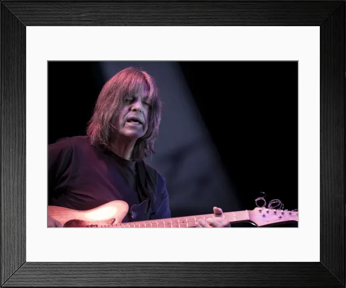 Framed Print : Mike Stern, 2013. Artist: Alan John Ainsworth Framed Print : Mike Stern, 2013. Artist: Alan John Ainsworth