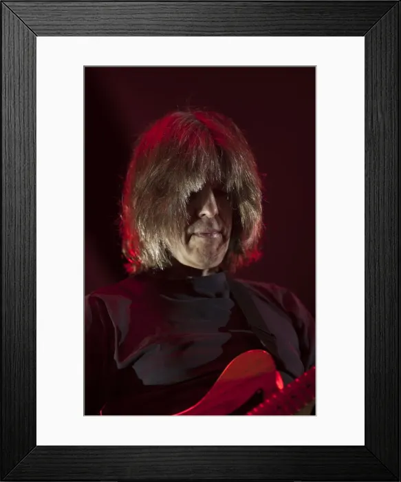 Framed Print : Mike Stern, 2013. Artist: Alan John Ainsworth Framed Print : Mike Stern, 2013. Artist: Alan John Ainsworth