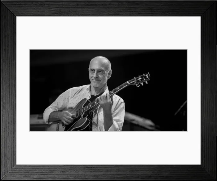 Framed Print : Larry Carlton, 2013. Artist: Alan John Ainsworth Framed Print : Larry Carlton, 2013. Artist: Alan John Ainsworth