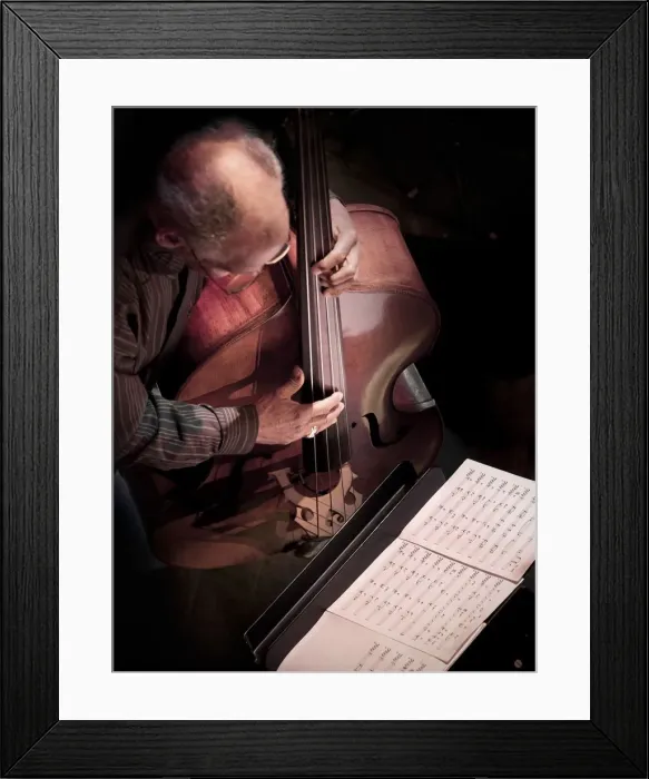 Framed Print : Cecil McBee, 2015. Artist: Alan John Ainsworth Framed Print : Cecil McBee, 2015. Artist: Alan John Ainsworth