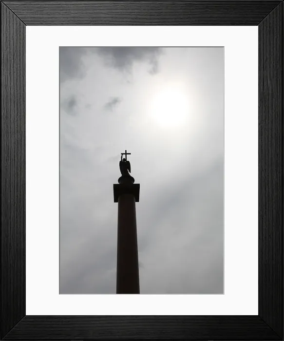 Framed Print : Alexander Column, St Petersburg, Russia, 2011. Artist: Sheldon Marshall Framed Print : Alexander Column, St Petersburg, Russia, 2011. Artist: Sheldon Marshall