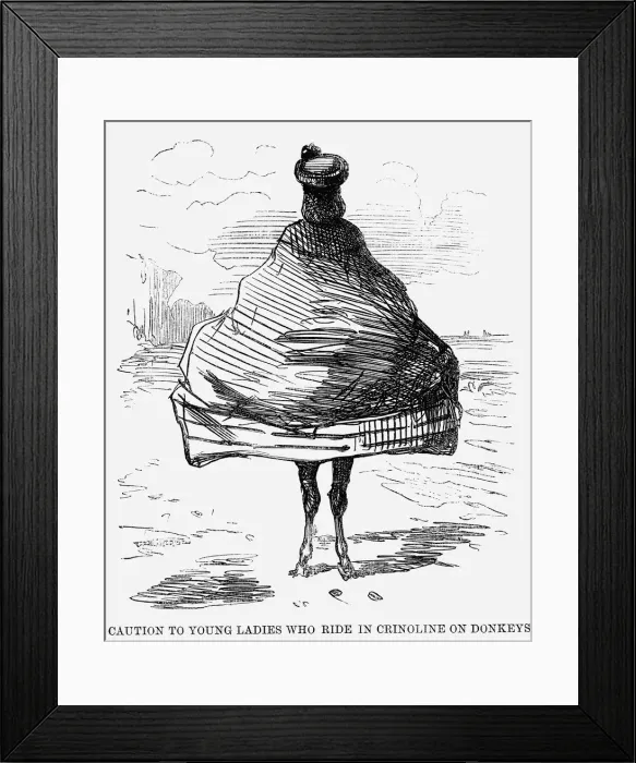 Framed Print : Caution to Young Ladies who ride in Crinoline on Donkeys, 1860 Framed Print : Caution to Young Ladies who ride in Crinoline on Donkeys, 1860