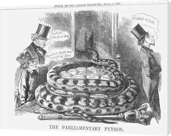 The Parliamentary Python, 1862