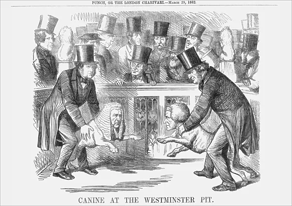 Canine at the Westminster Pit, 1862