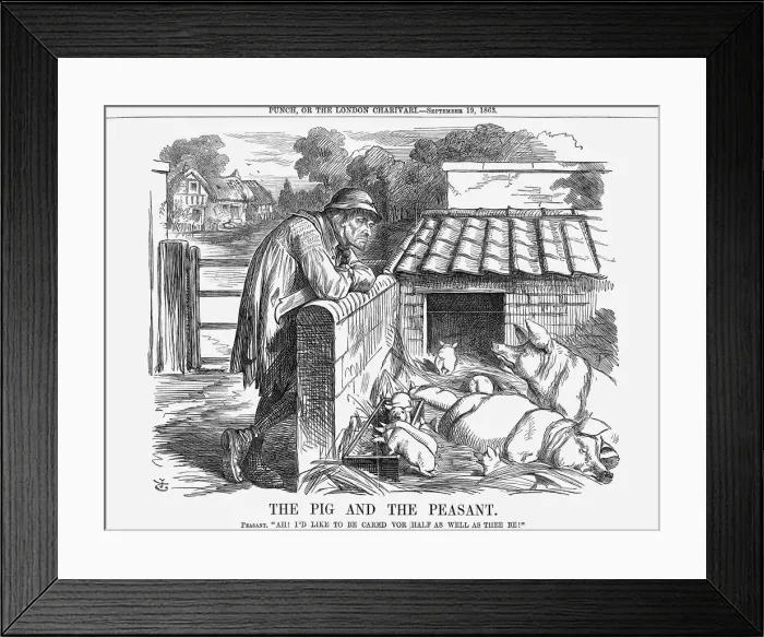 Framed Print : The Pig and The Peasant, 1863. Artist: John Tenniel Framed Print : The Pig and The Peasant, 1863. Artist: John Tenniel