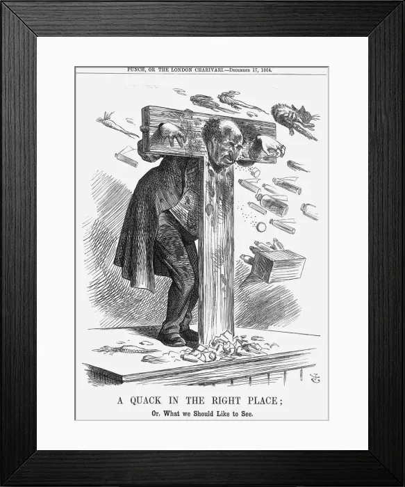 Framed Print : A Quack in the Right Place, 1864. Artist: John Tenniel Framed Print : A Quack in the Right Place, 1864. Artist: John Tenniel