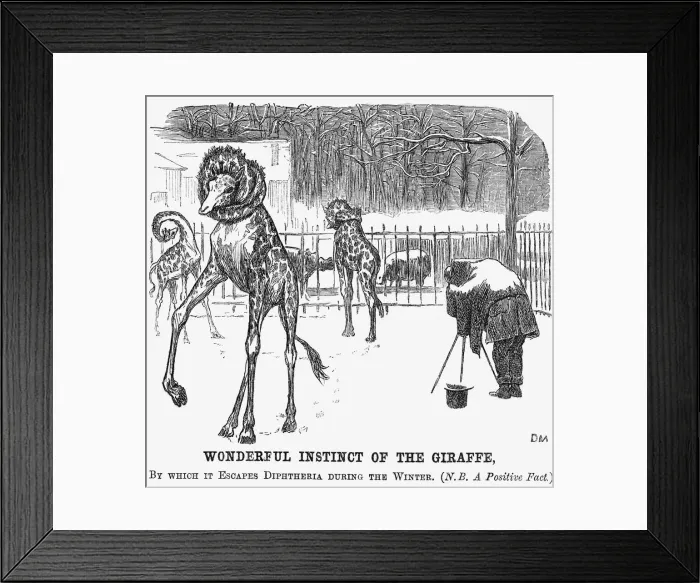 Framed Print : Wonderful Instinct of The Giraffe, 1865. Artist: George du Maurier Framed Print : Wonderful Instinct of The Giraffe, 1865. Artist: George du Maurier