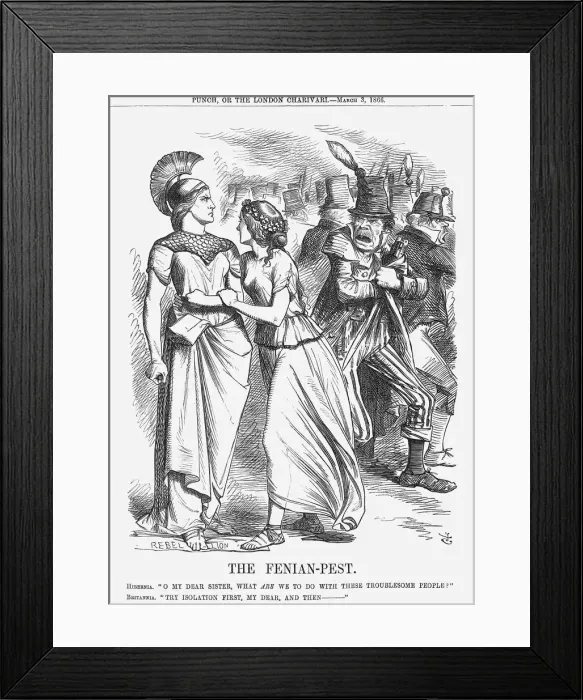 Framed Print : The Fenian-Pest, 1866. Artist: John Tenniel Framed Print : The Fenian-Pest, 1866. Artist: John Tenniel