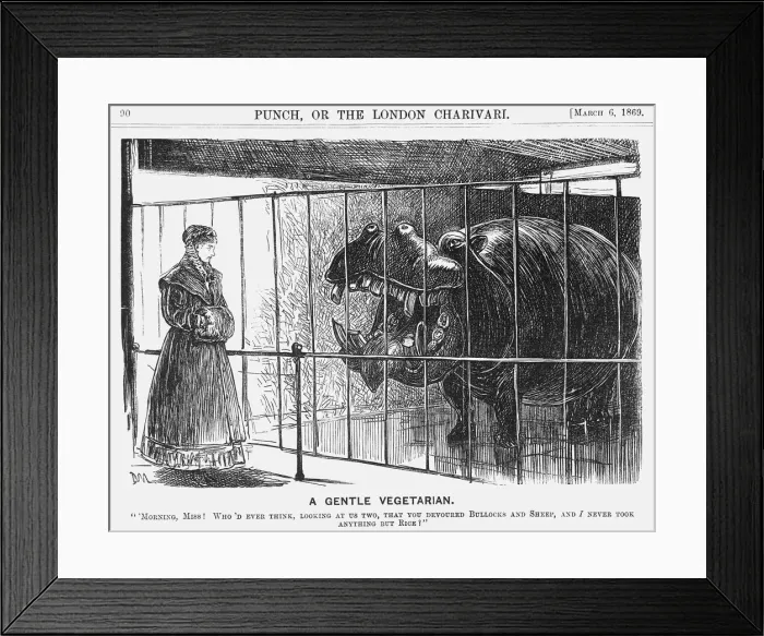Framed Print : A Gentle Vegetarian, 1869. Artist: George du Maurier Framed Print : A Gentle Vegetarian, 1869. Artist: George du Maurier
