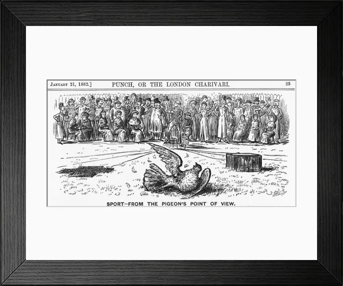 Framed Print : Sport from the Pigeons Point of View, 1882 Framed Print : Sport from the Pigeons Point of View, 1882