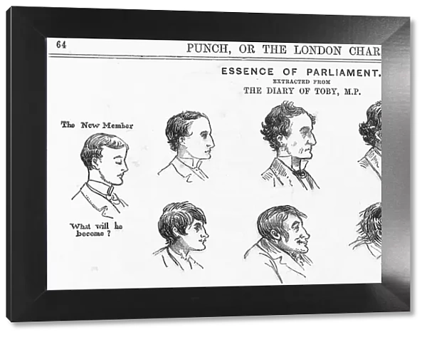 Essence of Parliament, 1882